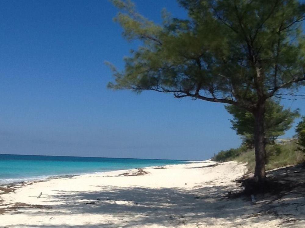 Oceanfrontier Hideaway Hotel Great Guana Cay Exterior foto